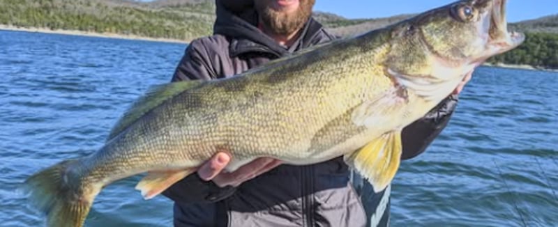 Local Expert Shares Year-Round Fishing Secrets at Table Rock