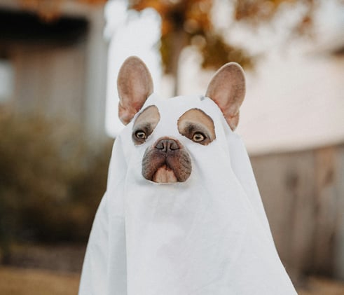 Does Going Back To Your Old Job Scare You?