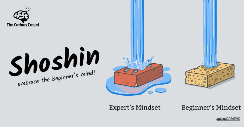 Embrace the Beginner's Mind!