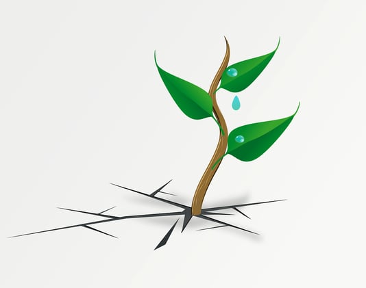 Neurochemistry of Hope