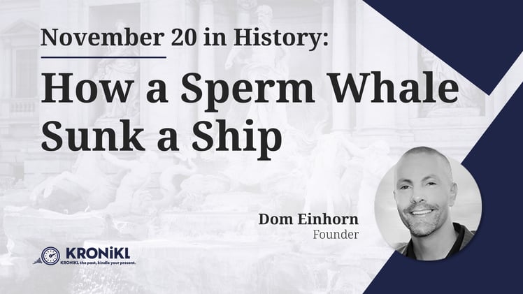 How a Sperm Whale Sunk a Ship