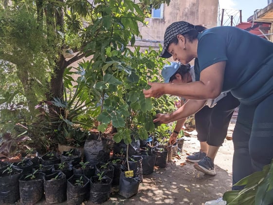 85 % de las alcaldías serían rojitas... Y hoy recordamos un megafraude ⚠️