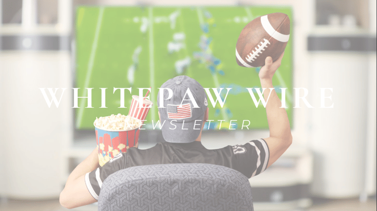 How Platforms Are Rethinking Video Strategy