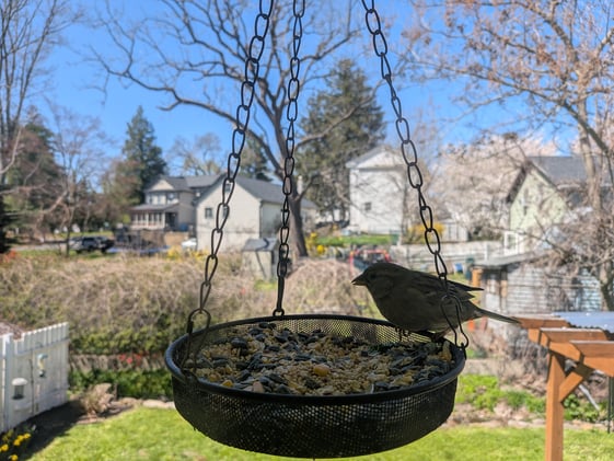 Dollar-Cost-Average Your Life