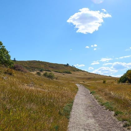 🤠 First Flurries, Festive Nights & $100 to Cranelli’s