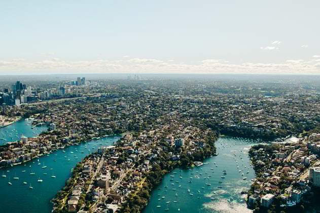 🗞️ Holding the fort