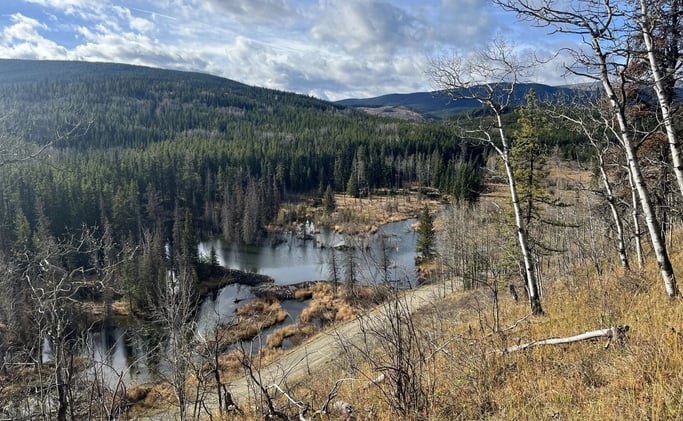 New Trail Centre Proposal Raises Questions About West Bragg Creek’s Future
