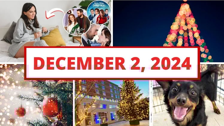 Local holiday tree lightings, a handmade market & more!