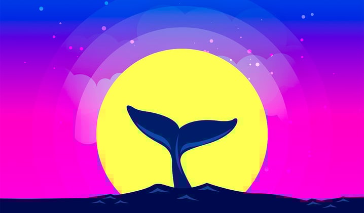 Bitcoin Whale Abruptly Moves Over $123,000,000 in BTC – Here’s Where the Crypto Is Going