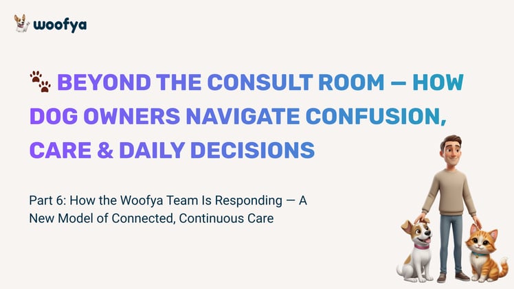 🐾 Beyond the Consult Room — How Dog Owners Navigate Confusion, Care & Daily Decisions