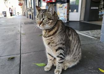 AI Reading for Thursday October 30