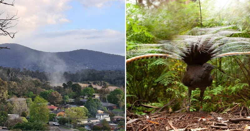 🟠 Hands off our hill