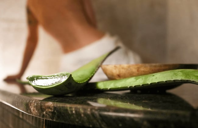 How Aloe Vera Affects Your Body