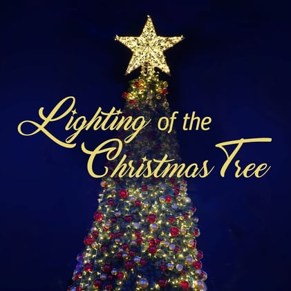 🔵 Lightening of the Christmas Tree