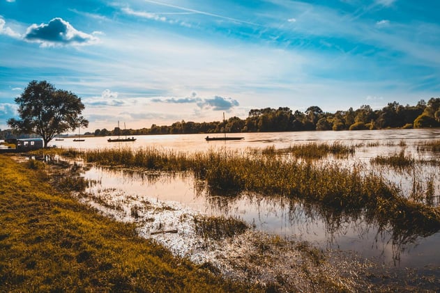 Summerville Weekly: July 8th 