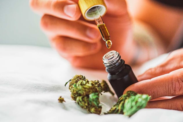 Medicinal Cannabis: Could It Help with Chronic Fatigue and Chronic Pain?