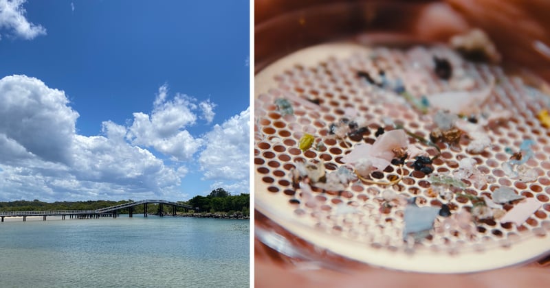 Most contaminated coastal waterways: a top 10 ranking the Mid North Coast didn't want