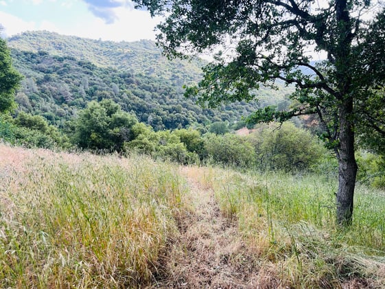 in 100 days from today...