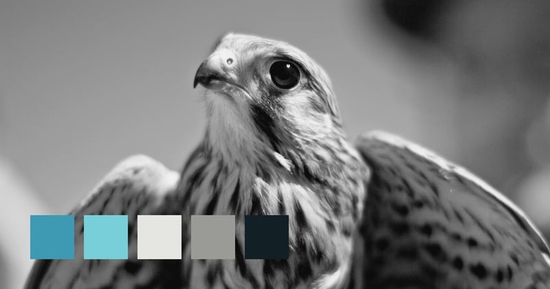 Montescaglioso (MT), Italy