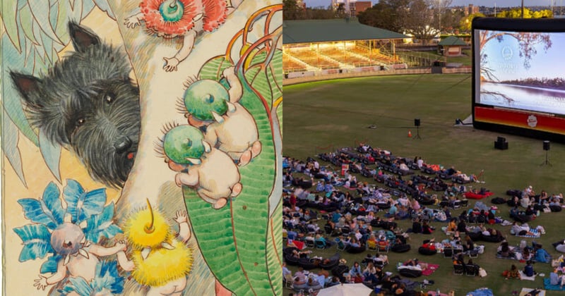 What's on in the North Shore this January