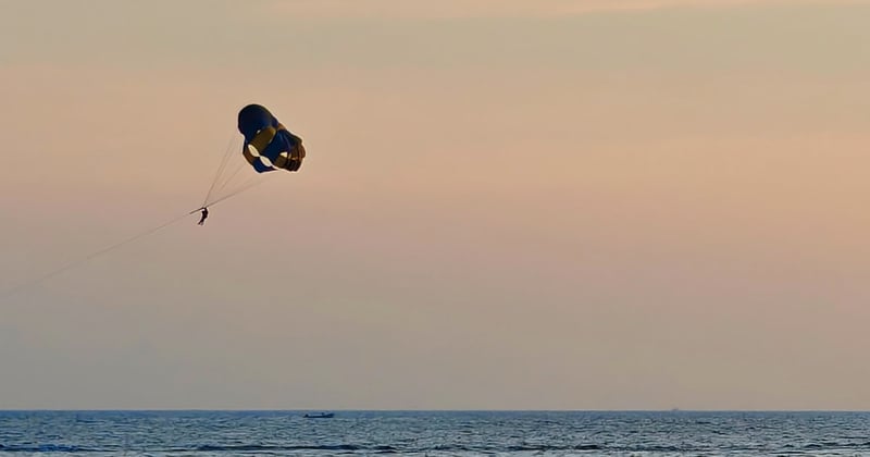 Issue 41 | February 2026