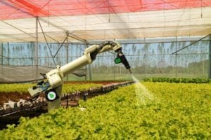 Sway AI Partners with Trilogy Networks to Enable AI Technology for Precision Farming — No-Code Automation AI Company Joins the Rural Cloud Initiative to Deliver Actionable Data for U.S. Farmers