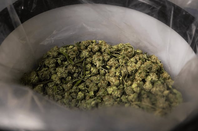 Trump Considers Reclassifying Marijuana as Lower-Risk Drug