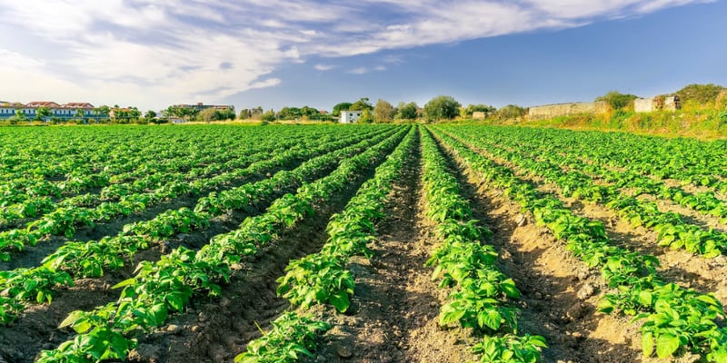 💩 Turning manure into millions