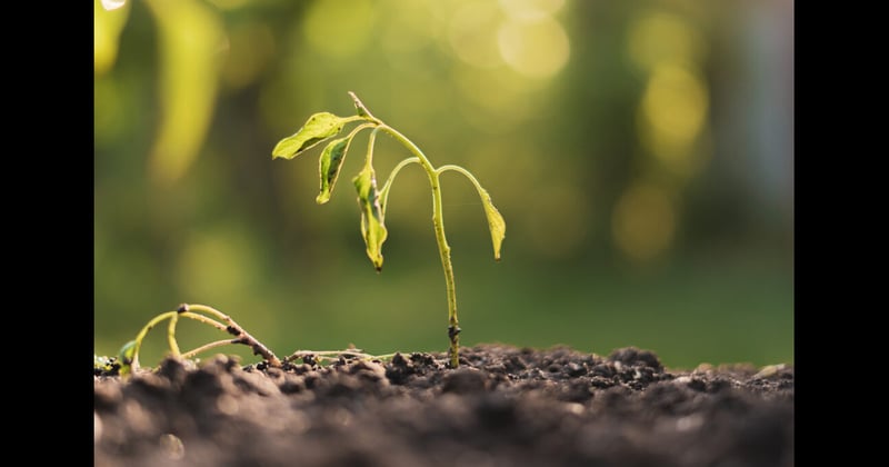 Death As a “Spiritual Discipline”