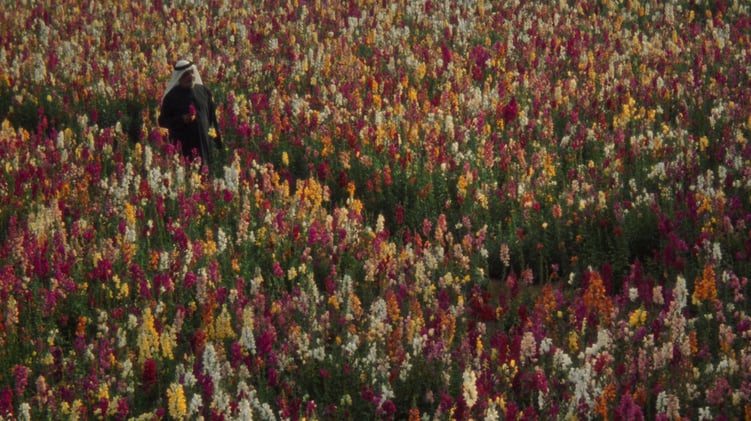 Bulletin + Assembly Milan — Omar Almahri, Moritz Keller, Tahiel Jimenez Medina...