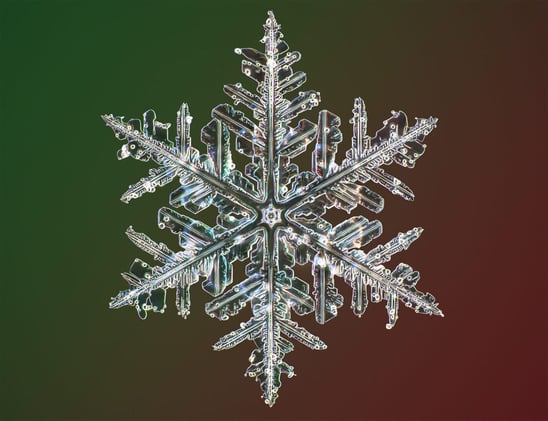  🌀🐇 #286 animacy, mind control, peace in the wild