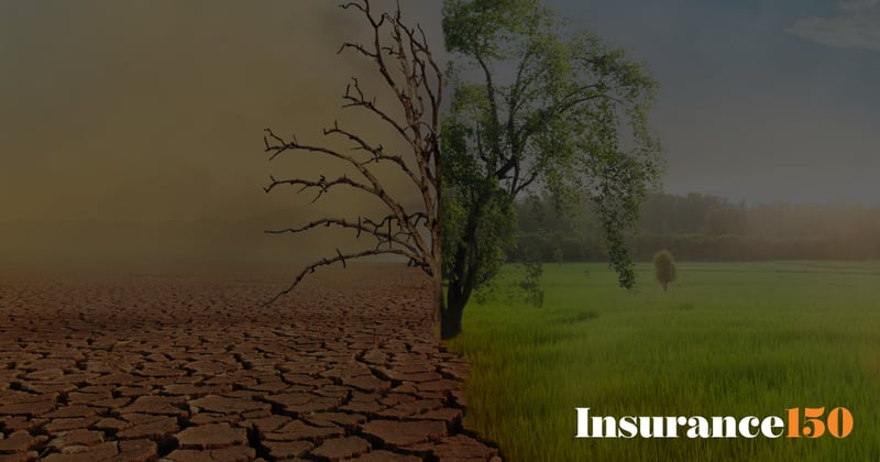 Climate Change Adaptation Strategies Among Insurers