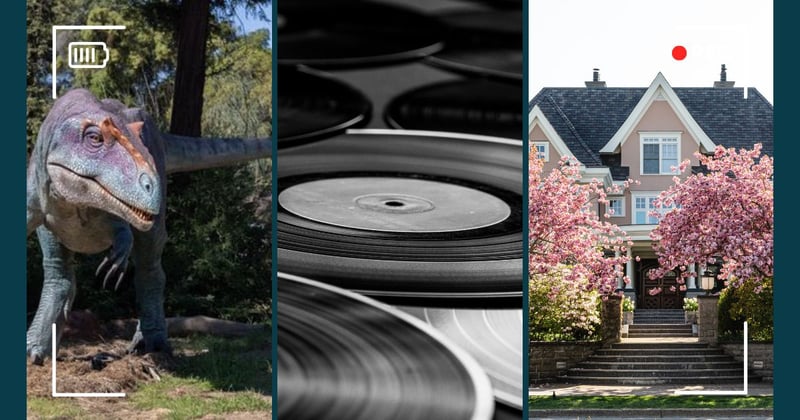 Which One Would You Choose? Take a Look...