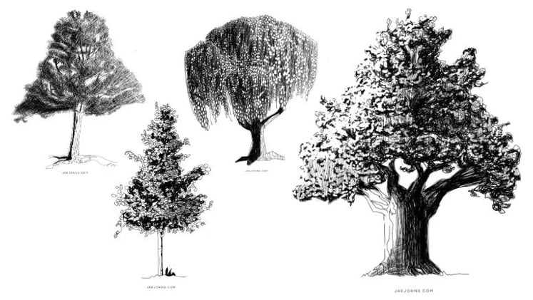 How to Draw Trees