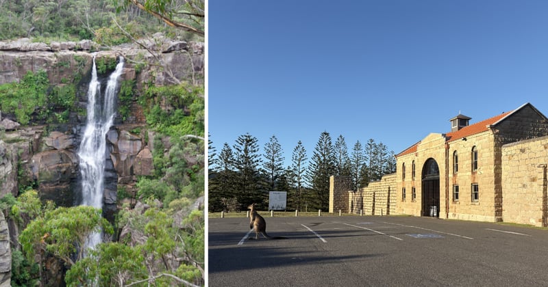 The ultimate guide to day trips on the Mid North Coast