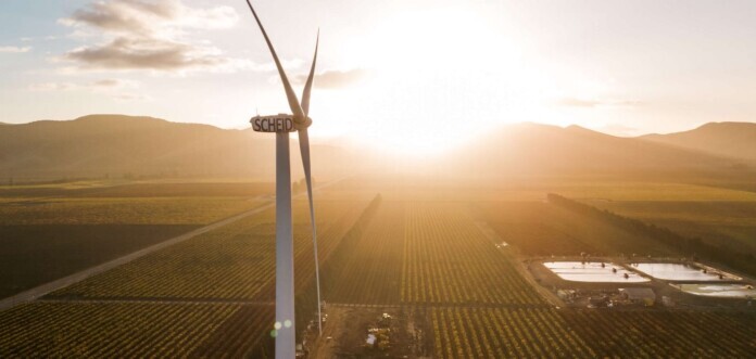🌞 Sustainable Wine Making