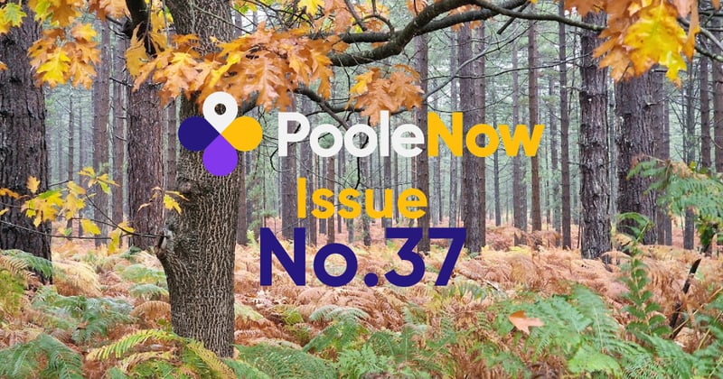 🌊Issue No.37: New town councils & Poole Pirates Final Showdown!
