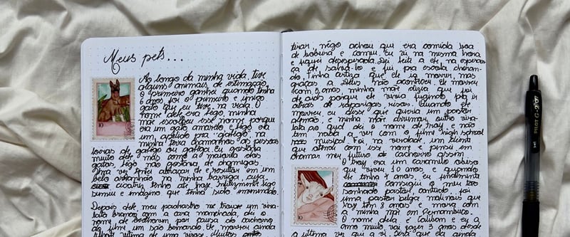 Verdina Journal Newsletter - #8 