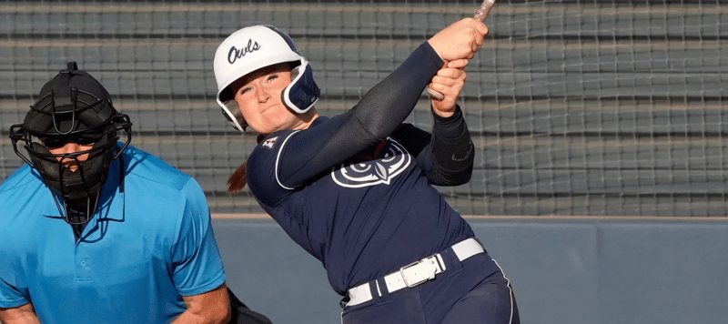 Paradise Brew 3/4: Twice As Nice