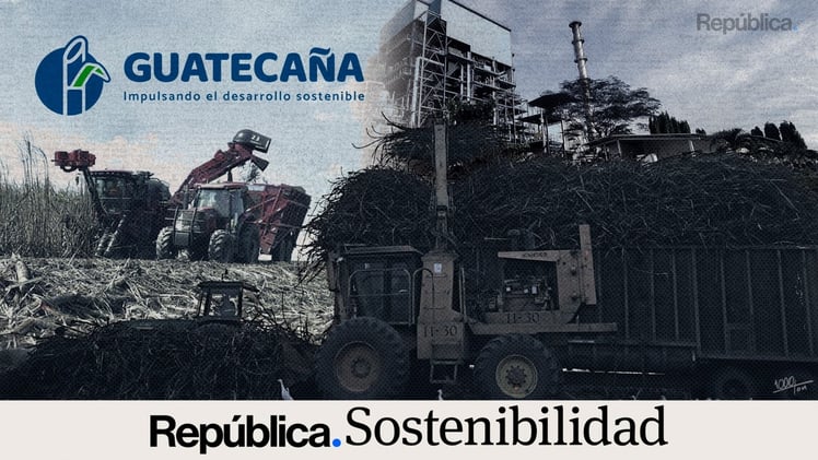 Caña, un dulce porvenir