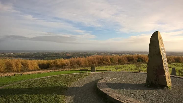 🐝 Parades, Pints & Playtime