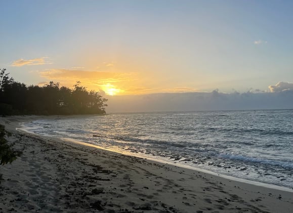 Forgive Your Parents