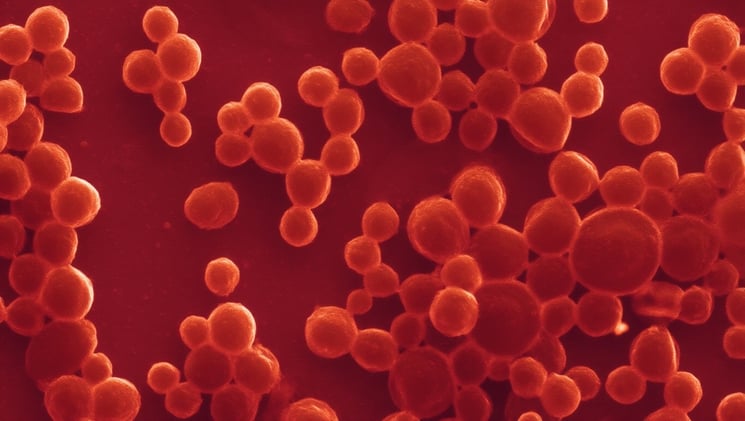 Cancer-fighting bubble bots