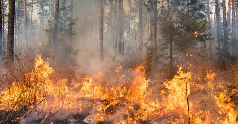 ⭐Fire Risk Climbs, Tornado Prep, Call For Vets Nominations, OB Man Struck