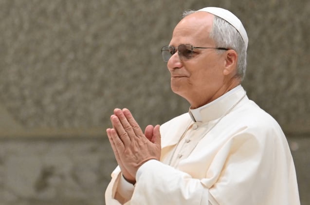 Herzog to Meet Pope Leo XIV at Vatican for High-Level Talks