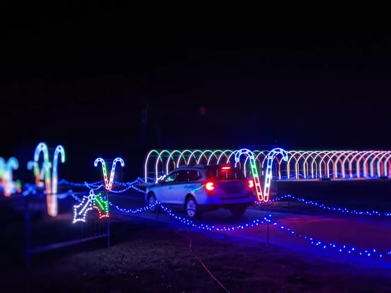 🌟First Night Hartford, Food & Wine, and Silver Lights