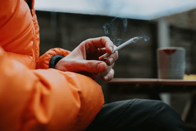 Why Plaque Forms in the Arteries