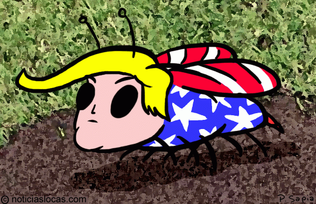 Donald Trump ya tiene una polilla con su nombre