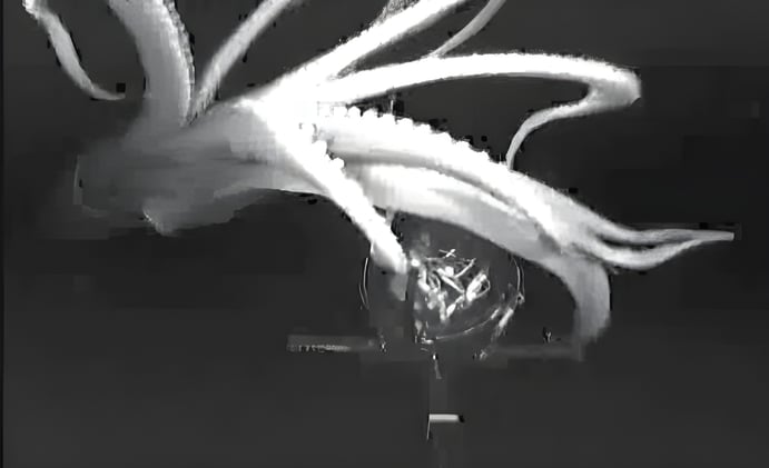 ⭐ DAILY SIGNAL #17