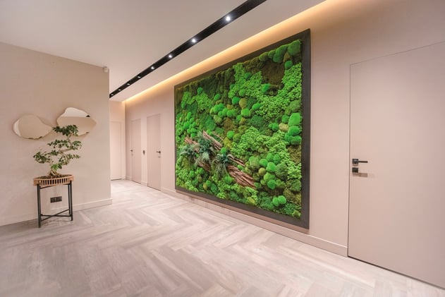 A wall for your moss